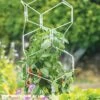 Gardener's Vertex Lifetime Pepper And Eggplant Cage -Garden Supplies Sales 8599554 3000 tif