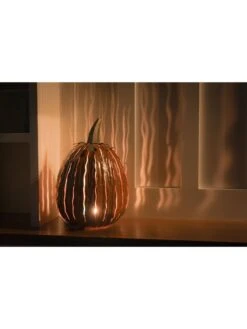 Desert Steel Pumpkin Luminary, Tall -Garden Supplies Sales 8599559 04v