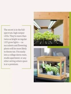 Bamboo Mini LED Grow Light Garden -Garden Supplies Sales 8599624 06