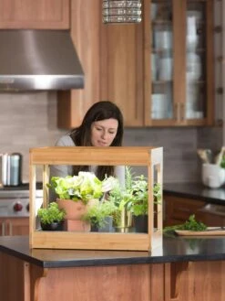 Bamboo Mini LED Grow Light Garden -Garden Supplies Sales 8599624 12532 tif