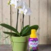 Espoma Orchid! Plant Food -Garden Supplies Sales 8599783 18431 tif