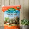 Espoma Cactus Potting Mix, 4 Quart -Garden Supplies Sales 8599789 18448 tif
