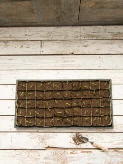 Paper Pots, 50 Cell -Garden Supplies Sales 8599830 18489 tif