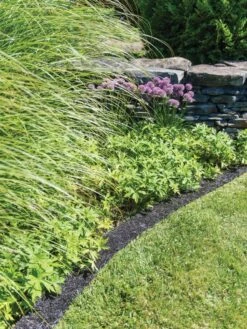 Recycled Rubber Mulch Edging, 12’ X 6” 9 Recycled Rubber Mulch Edging, 12’ X 6” -Garden Supplies Sales 8599854 0897 tif