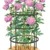 Titan Peony Supports, Large, Set Of 2 -Garden Supplies Sales 8599857 0001 art tif