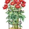 Titan Peony Supports, Medium, Set Of 2 -Garden Supplies Sales 8599858 0001 art tif
