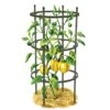 Titan Pepper Eggplant Cages, Set Of 3 1 Titan Pepper Eggplant Cages, Set Of 3 -Garden Supplies Sales 8599859 0001 art tif