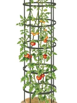 Titan Tall Tomato Cages, Set Of 3 -Garden Supplies Sales 8599860 0002 art tif