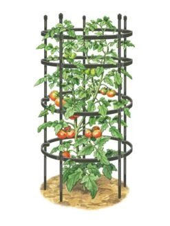 Titan Tomato Cages, Set Of 3 -Garden Supplies Sales 8599861 0001 art tif