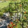 Titan Tomato Cages, Set Of 3 -Garden Supplies Sales 8599861 0049 tif