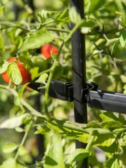 Titan Tomato Cages, Set Of 3 -Garden Supplies Sales 8599861 0079 tif 1