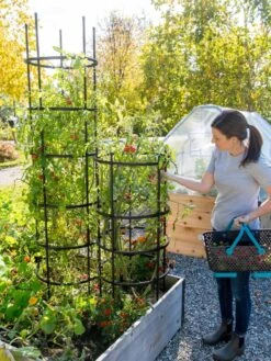 Titan Tomato Cages, Set Of 3 -Garden Supplies Sales 8599861 0114 tif