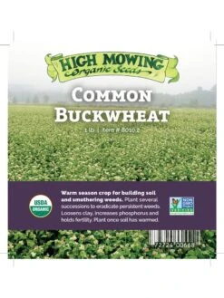 Common Buckwheat Organic Seeds 9 Common Buckwheat Organic Seeds -Garden Supplies Sales 8599871 04v