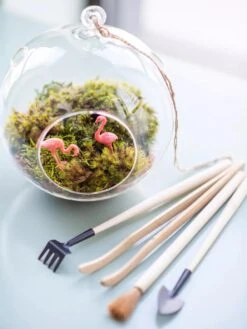 Terrarium Tools, Set Of 4 -Garden Supplies Sales 8599884 01V tif