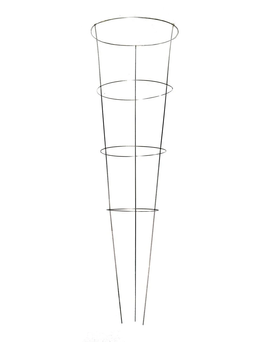 Heavy-Duty Plant Supports 54", Set Of 5 3 Heavy-Duty Plant Supports 54", Set Of 5