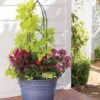 Verona Obelisk -Garden Supplies Sales 8600055 19706 tif