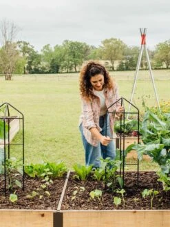 Zenith Folding Garden Supports, Set Of 2 -Garden Supplies Sales 8600073 324 tif