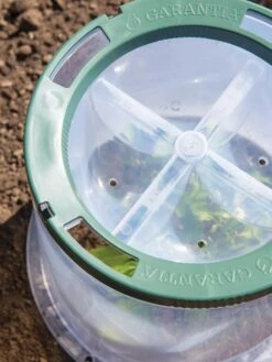 Sunny Forcing Cloches, Set Of 3 11 Sunny Forcing Cloches, Set Of 3 -Garden Supplies Sales 8600075 0742 tif