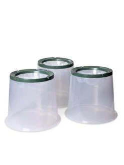 Sunny Forcing Cloches, Set Of 3 10 Sunny Forcing Cloches, Set Of 3 -Garden Supplies Sales 8600075 24 tif