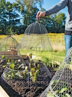 Chicken Wire Cloche With Extension -Garden Supplies Sales 8600116 0604 3 4