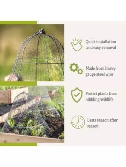 Chicken Wire Cloche With Extension -Garden Supplies Sales 8600116 3