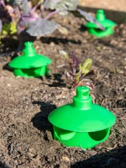 Slug And Snail Traps, Set Of 3 -Garden Supplies Sales 8600120 1788