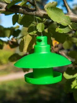 Slug And Snail Traps, Set Of 3 -Garden Supplies Sales 8600120 1792