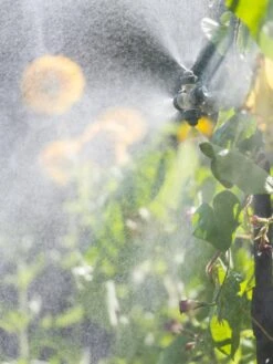 Landscape 4-Way Cooling Mist Kit, 50' 12 Landscape 4-Way Cooling Mist Kit, 50' -Garden Supplies Sales 8600154 0695 tif