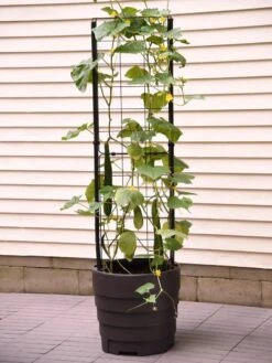 Gardener’s Victory Self-Watering Planter With Vine Trellis -Garden Supplies Sales 8600177 9876 tif