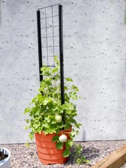 Gardener’s Victory Self-Watering Planter Garden With Vine Trellis -Garden Supplies Sales 8600178 05487 tif