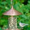 Classic Perch Bird Feeder With Copper Finish -Garden Supplies Sales 8600195 01v classic perch bird feeder with copper finish