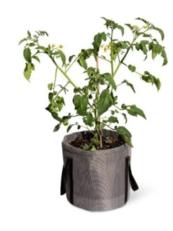 Reinforced Colorful Grow Bags -Garden Supplies Sales 8600229 0944 tif