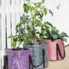 Reinforced Colorful Grow Bags -Garden Supplies Sales 8600229 19957 tif