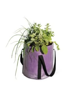 Reinforced Colorful Grow Bags -Garden Supplies Sales 8600230 0948 tif