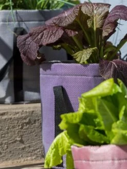 Reinforced Colorful Grow Bags -Garden Supplies Sales 8600230 20013 tif