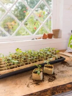 Paper Pots Starter Set -Garden Supplies Sales 8600273 0307 tif