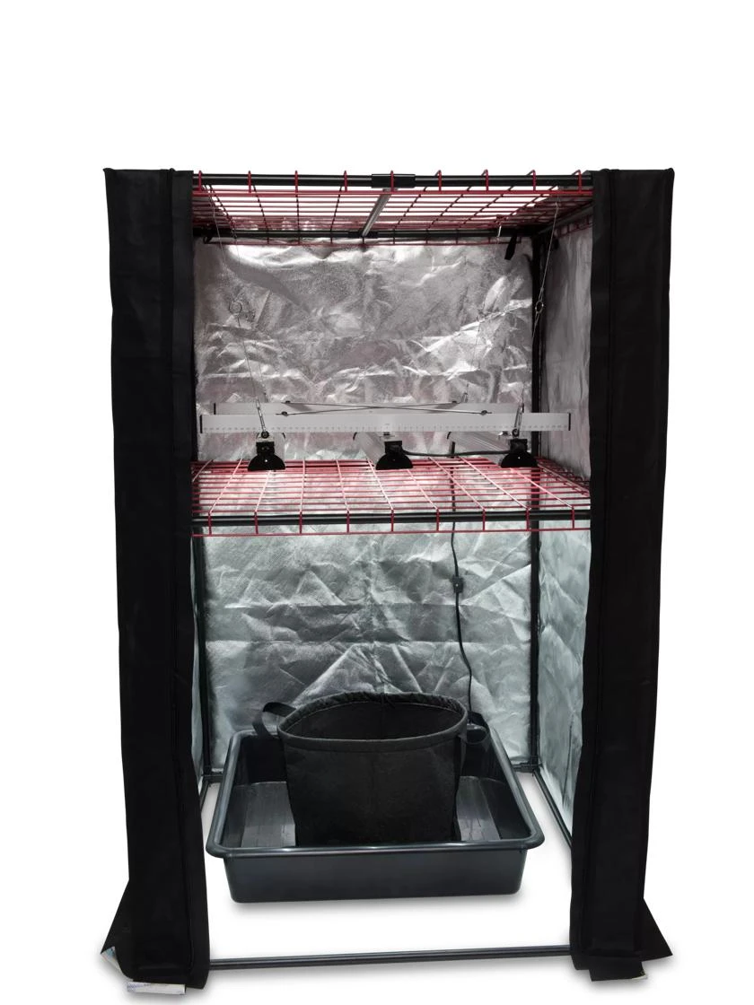 Hemp Grow Kit 11 Hemp Grow Kit - Image 9