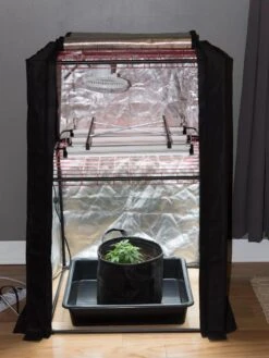 Hemp Grow Kit 14 Hemp Grow Kit -Garden Supplies Sales 8600301 0590 tif