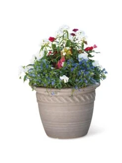 Cortina Self-Watering Planters 14 Cortina Self-Watering Planters -Garden Supplies Sales 8600315 19839 tif