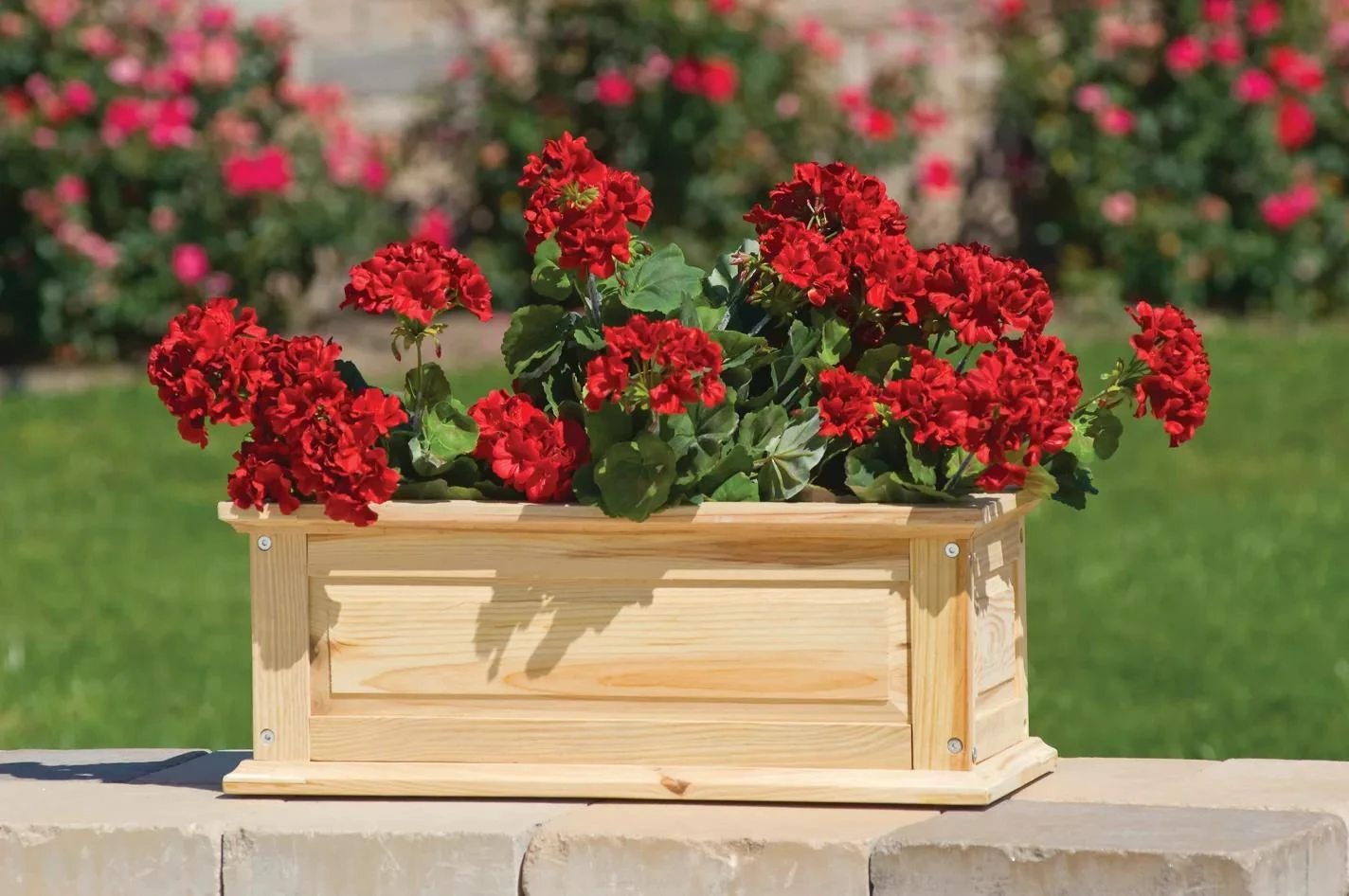 Savannah Window Boxes 6 Savannah Window Boxes - Image 4