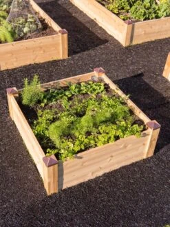 Copper Cap Raised Beds -Garden Supplies Sales 8600496 0559 tif