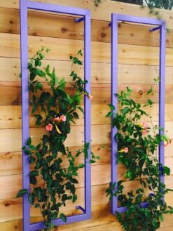 Ina Modern Wall Trellis Sr. 14 Ina Modern Wall Trellis Sr. -Garden Supplies Sales 8600510 07V tif