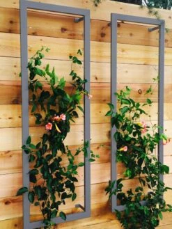 Ina Modern Wall Trellis Sr. 12 Ina Modern Wall Trellis Sr. -Garden Supplies Sales 8600510 08V jpg