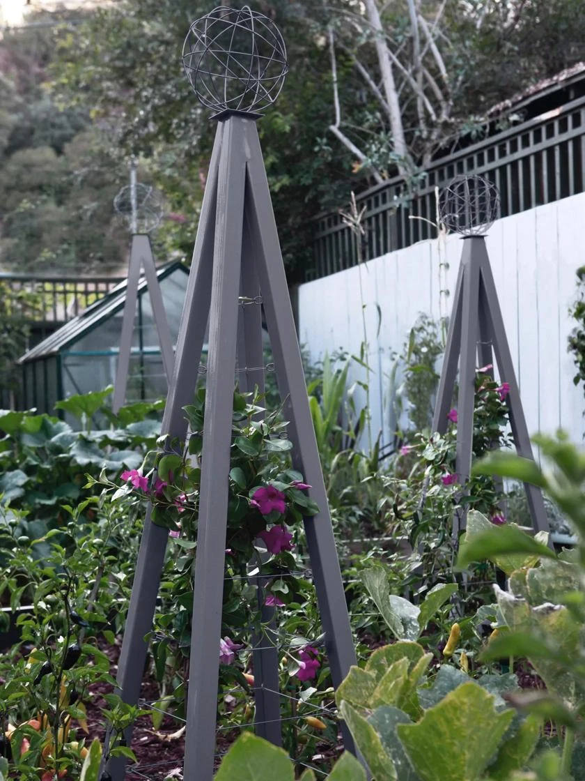 Akoris Garden Tuteur Jr. 4 Akoris Garden Tuteur Jr. - Image 2