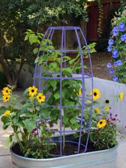 Toki Bubble Trellis -Garden Supplies Sales 8600520 02V tif