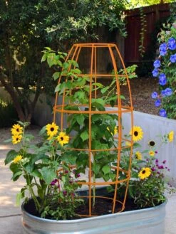 Toki Bubble Trellis -Garden Supplies Sales 8600520 03V tif