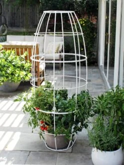 Toki Bubble Trellis -Garden Supplies Sales 8600520 05V tif