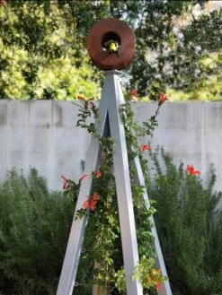 Bird Cafe + Akoris Garden Tuteur Jr. -Garden Supplies Sales 8600525 07v 1