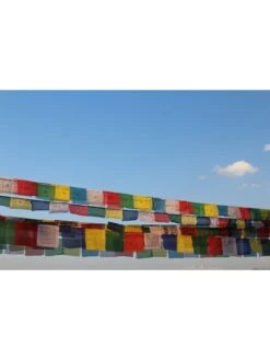 Tibetan Prayer Flags -Garden Supplies Sales 8600646 01v