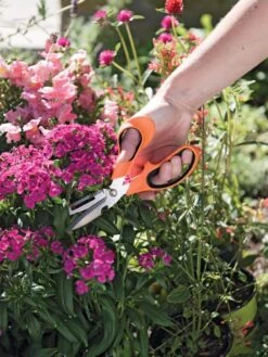 Gardener's Multi Purpose Scissors -Garden Supplies Sales 8608655 19551 tif